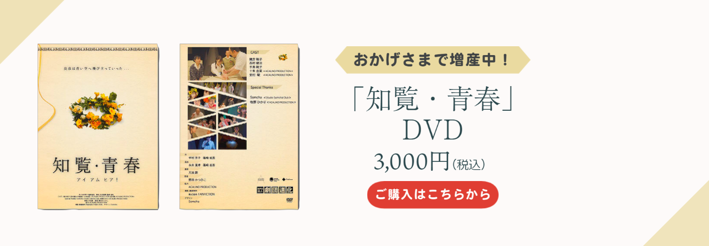 「知覧・青春」DVD